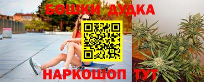 крисы Будённовск