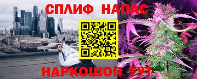 крисы Будённовск