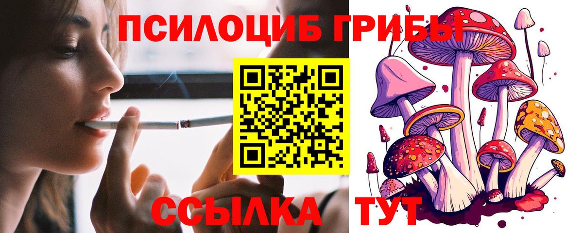 Псилоцибиновые грибы мицелий  дарнет шоп  Челябинск  Вход с VPN 