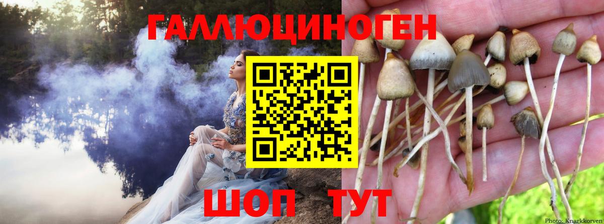 Псилоцибиновые грибы мухоморы Челябинск